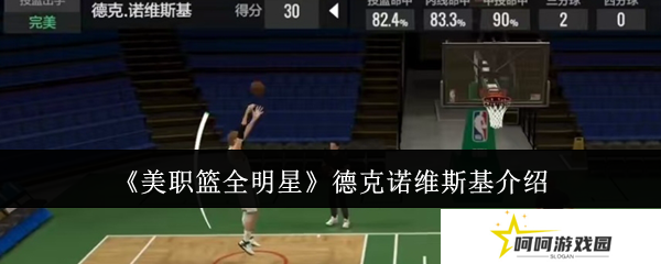 美职篮全明星德克诺维斯基介绍