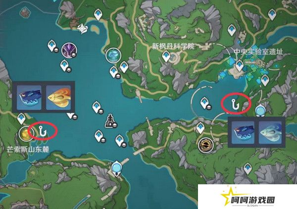 原神灰河渡手钓鱼地点分布图 灰河渡手精炼材料钓鱼点位攻略[多图]图片8