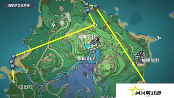 原神梦见月瑞希突破材料收集攻略 梦见月瑞希突破材料在哪里[多图]图片13