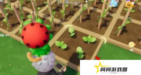《心动小镇》奇灵夜季南瓜雕刻任务攻略