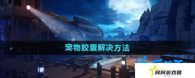 《DNF》宠物胶囊用不了解决方法
