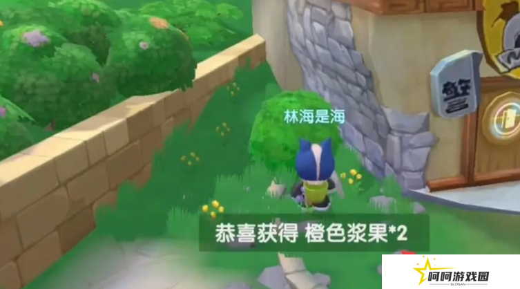 《摩尔庄园》橙色浆果获取方法