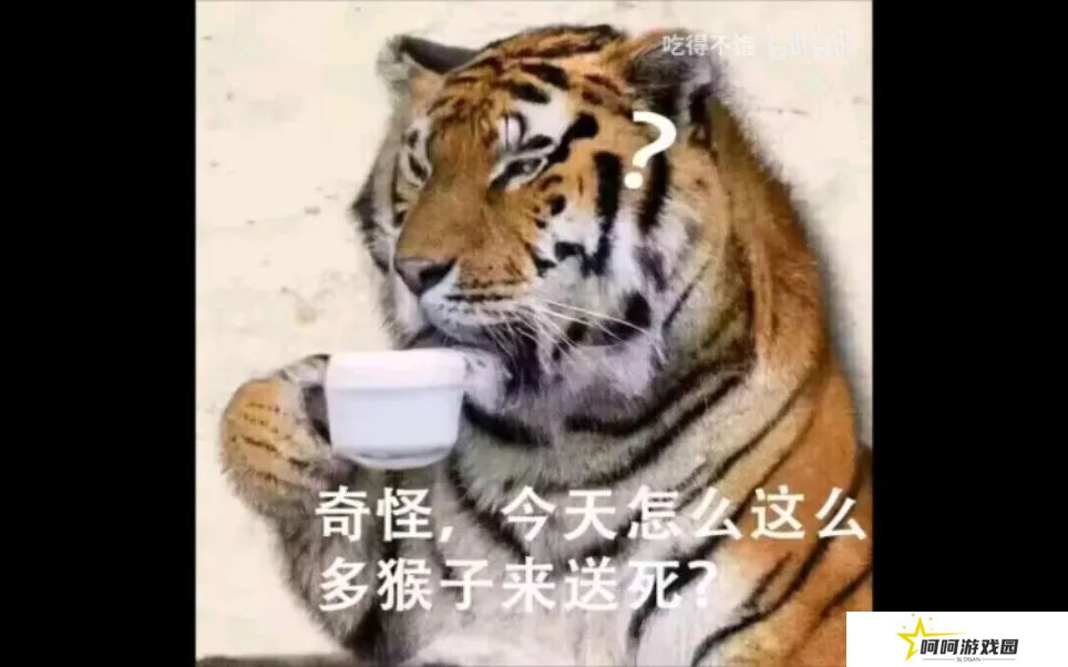 虎先锋本一心向善 却迫于现实只能低头的反差虎